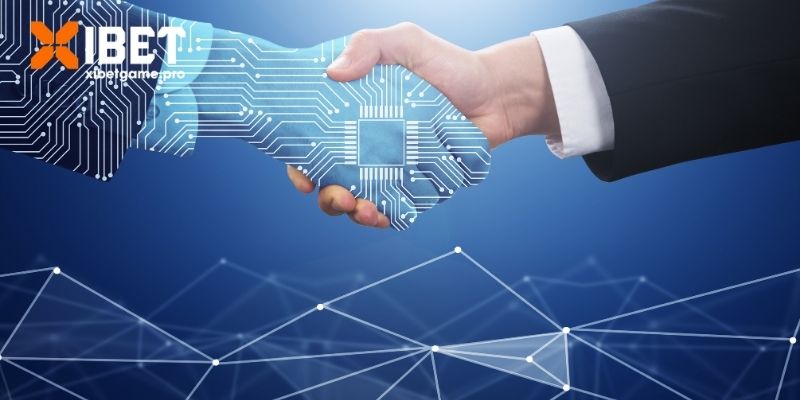 Cược thủ cần tuân thủ điều khoản và điều kiện XIBET 