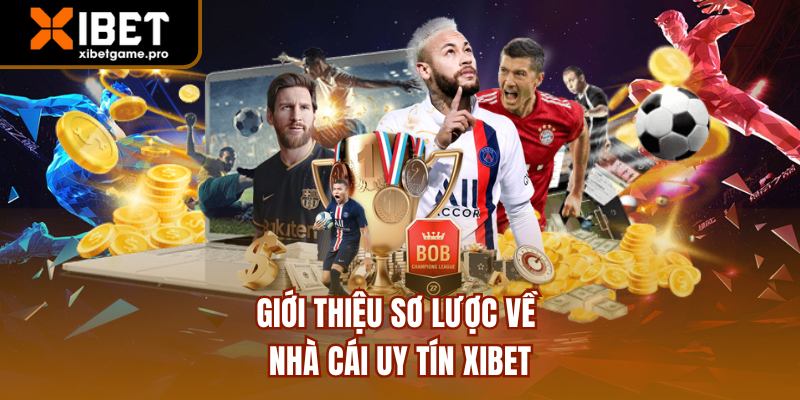 Giới thiệu sơ lược về nhà cái uy tín XIBET