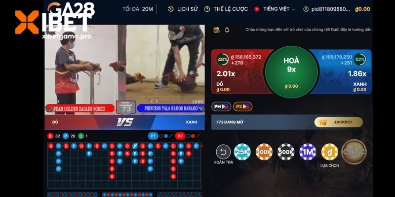 Điểm cộng lớn thu hút các sư kê tham gia cá độ