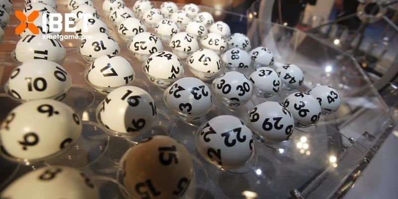 Đôi nét khám phá cách soi cầu rồng bạch kim