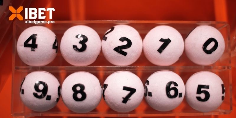 Lợi nhuận cực khủng từ lô 