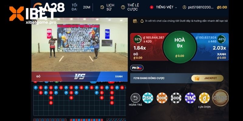 Tìm hiểu chung về đá gà trực tiếp hôm nay